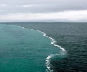 Empat Fenomena Laut Sangat Indah dan Menakjubkan Luar Biasa 